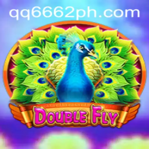 DoubleFly: A New Adventure in Gaming